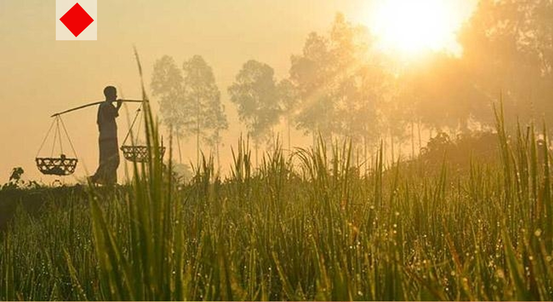 শীত আসছে, আপনি প্রস্তুত তো?